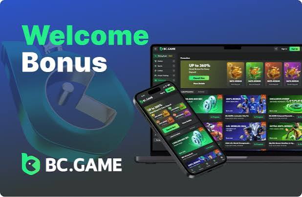 Unlocking the Potential of the Official BC App Your Comprehensive Guide